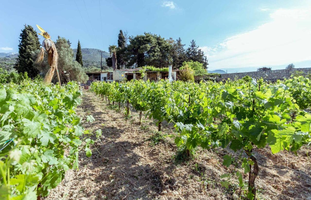 Agios Ioannis  Nassibe Estate 빌라 외부 사진