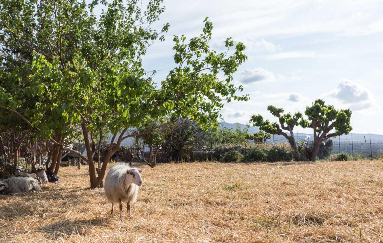 Agios Ioannis  Nassibe Estate 빌라 외부 사진